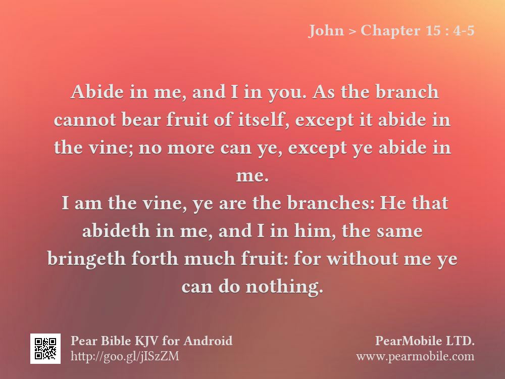 John, Chapter 15:4-5